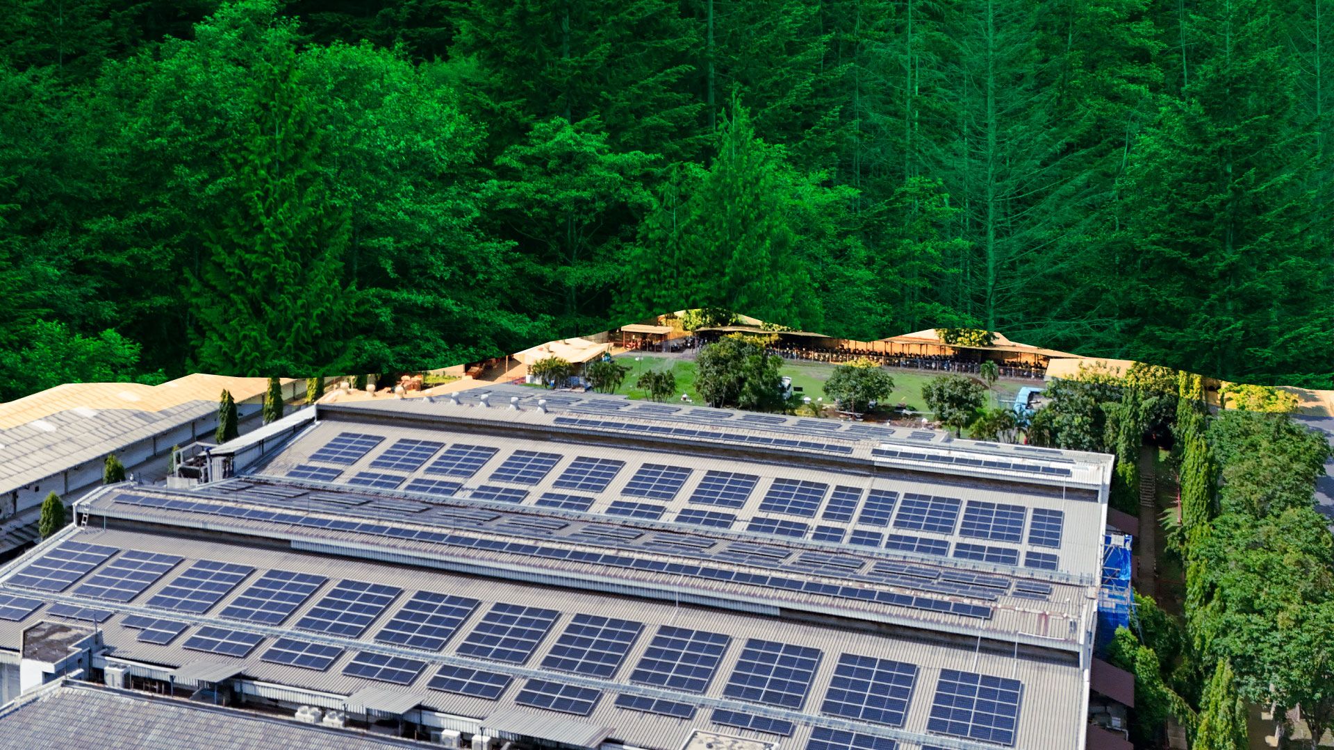 4 Pertanyaan Wajib ke Vendor Sebelum Memasang Panel Surya di Pabrik Anda